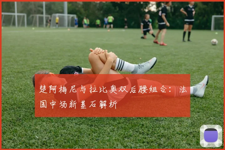 楚阿梅尼与拉比奥双后腰组合:法国中场新基石解析