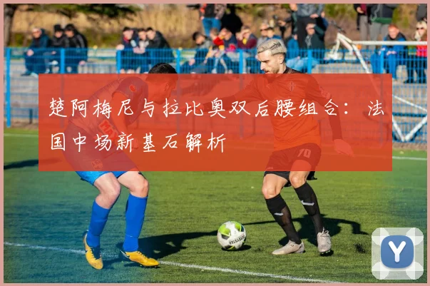 楚阿梅尼与拉比奥双后腰组合：法国中场新基石解析